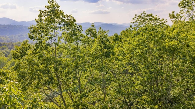 LT Forest Ridge, Cashiers, NC 28717 - photo 3
