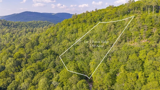 LT Forest Ridge, Cashiers, NC 28717 - photo 8