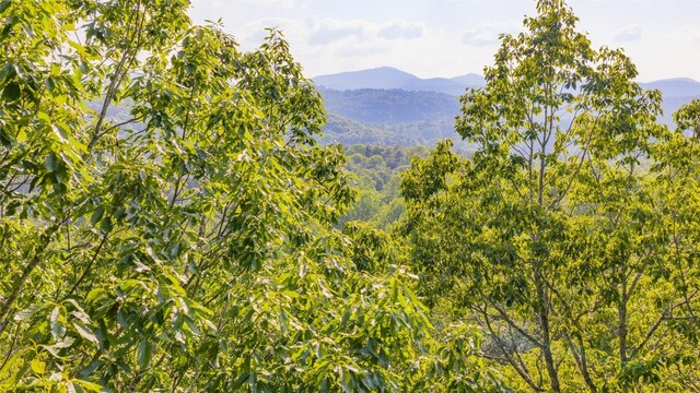 LT Forest Ridge, Cashiers, NC 28717 - photo 9