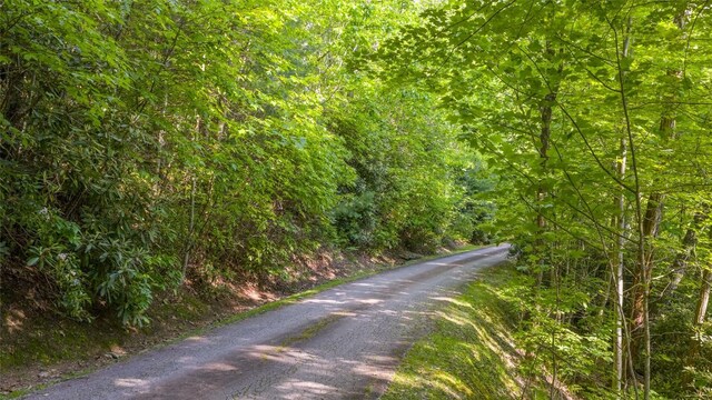 LT Forest Ridge, Cashiers, NC 28717 - photo 5