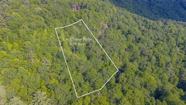 LT Forest Ridge, Cashiers, NC 28717 - photo 10
