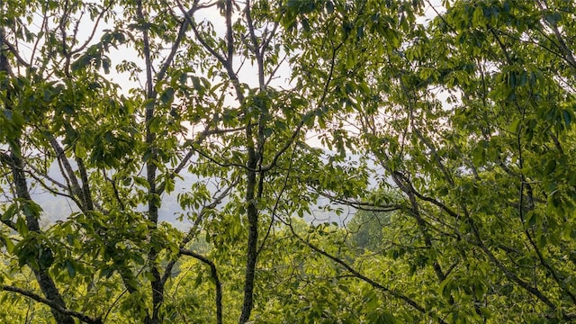 LT Forest Ridge, Cashiers, NC 28717 - photo 14