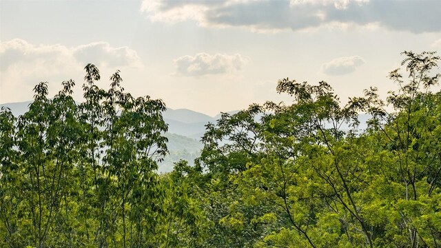 LT Forest Ridge, Cashiers, NC 28717 - photo 16