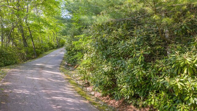 LT Forest Ridge, Cashiers, NC 28717 - photo 12