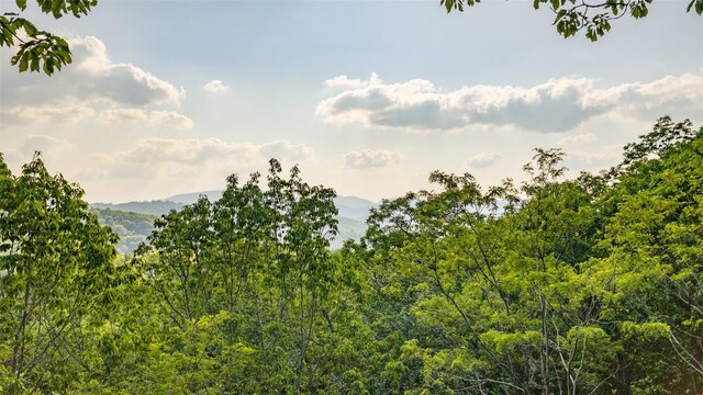 LT Forest Ridge, Cashiers, NC 28717 - photo 15