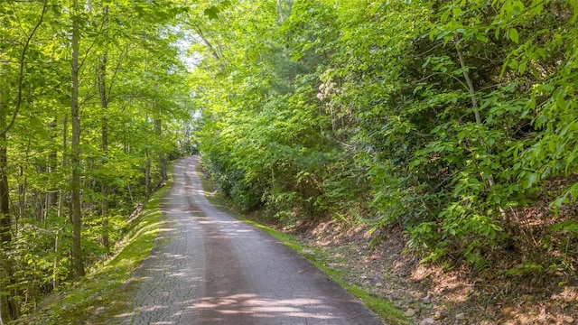 LT Forest Ridge, Cashiers, NC 28717 - photo 2