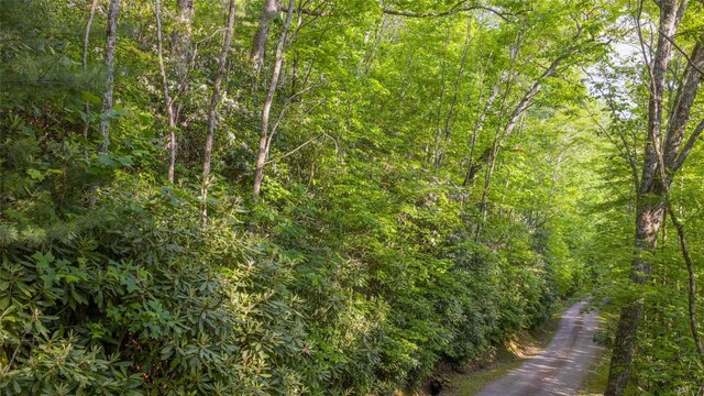 LT Forest Ridge, Cashiers, NC 28717 - photo 6