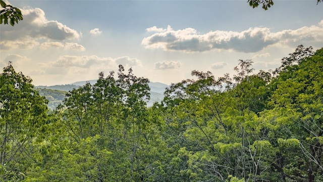 LT Forest Ridge, Cashiers, NC 28717 - photo 18