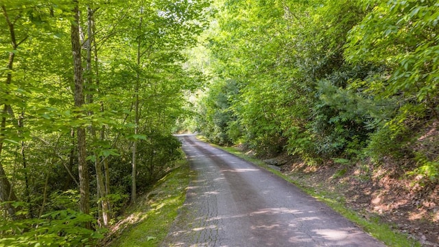 LT Forest Ridge, Cashiers, NC 28717 - photo 17