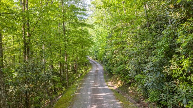 LT Forest Ridge, Cashiers, NC 28717 - photo 7