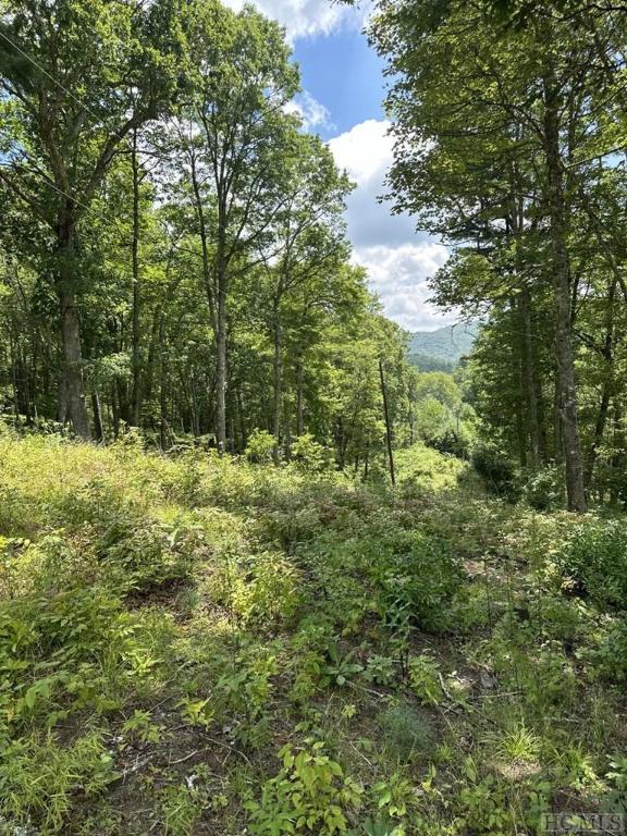 580 N Robinson Creek Rd, Glenville NC, 29736 land for sale