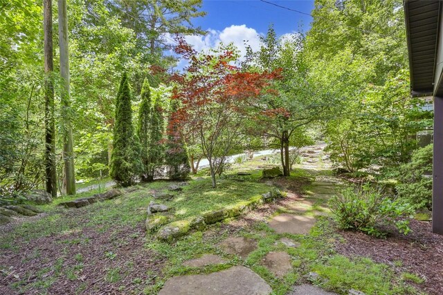 11 Clearview Ln, Highlands, NC 28741 - photo 36