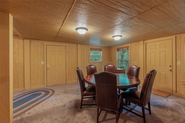 11 Clearview Ln, Highlands, NC 28741 - photo 34
