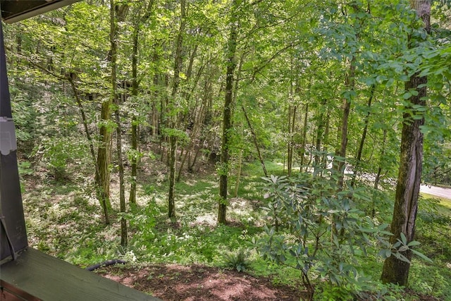 11 Clearview Ln, Highlands, NC 28741 - photo 47