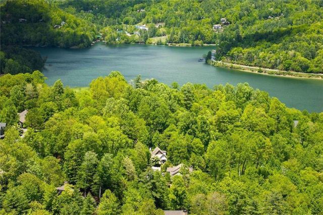 60 Glassy Vw, Cashiers, NC 28717 - drone / aerial view of a forest and a large body of water