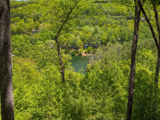 60 Glassy Vw, Cashiers, NC 28717 - water view featuring a forest