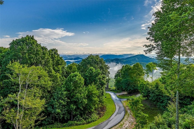 11 Milkweed Trl, Glenville, NC 28736 - photo 3