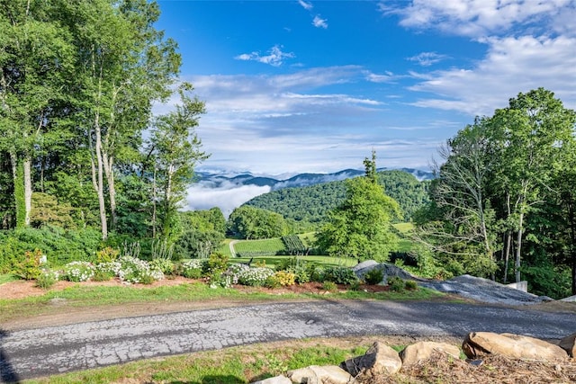 11 Milkweed Trl, Glenville, NC 28736 - photo 45