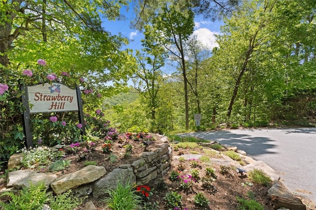 233 Strawberry Hill Rd, Cullowhee, NC 28723 - exterior view