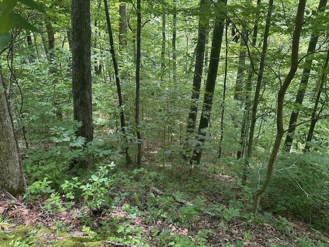 TBD Bold Creek Trail, Glenville, NC 28736