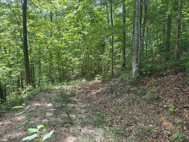 TBD Bold Creek Trail, Glenville, NC 28736