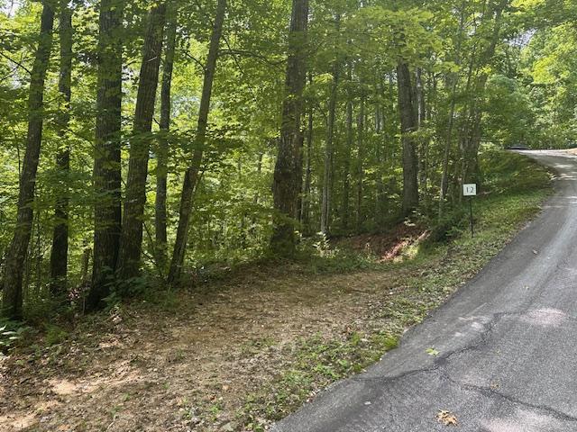 TBD Bold Creek Trail, Glenville, NC 28736