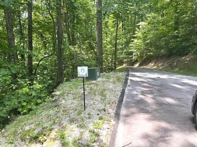 TBD Bold Creek Trail, Glenville, NC 28736