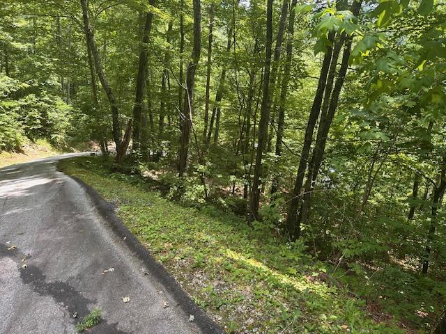 TBD Bold Creek Trail, Glenville, NC 28736