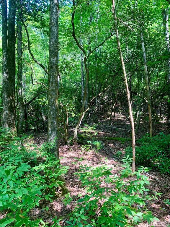 TBD Double Creek Dr, Brevard NC, 28712 land for sale