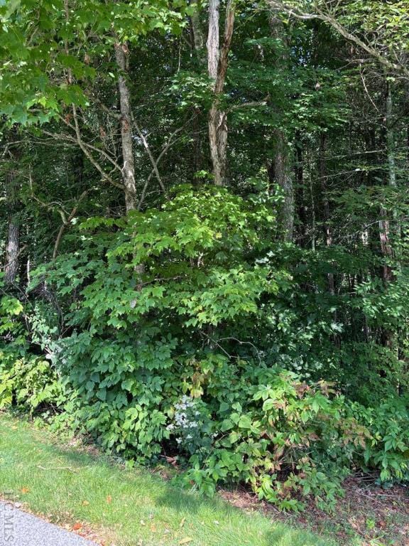 LOT222 Dry Stack Way, Cashiers NC, 28717 land for sale