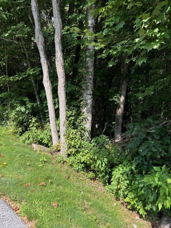 Listing photo 3 for LOT222 Dry Stack Way, Cashiers NC 28717