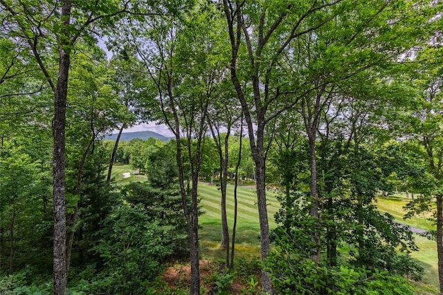 8 Par Path, Cashiers, NC 28717 - view of local wilderness featuring a golf club and a mountainous background