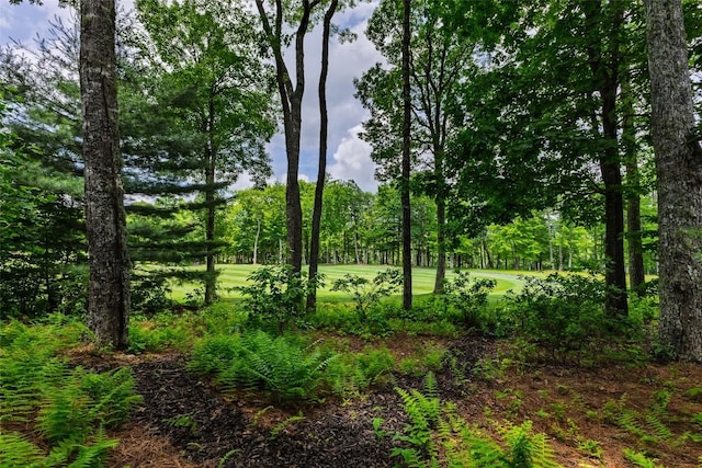 8 Par Path, Cashiers, NC 28717 - view of local wilderness