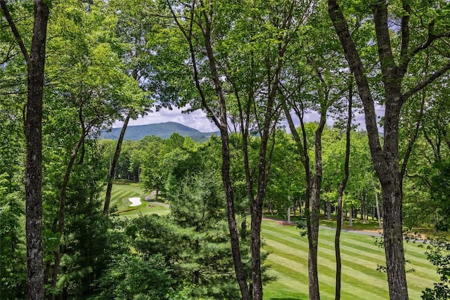 8 Par Path, Cashiers, NC 28717 - surrounding community with a mountain view, golf course view, and a yard