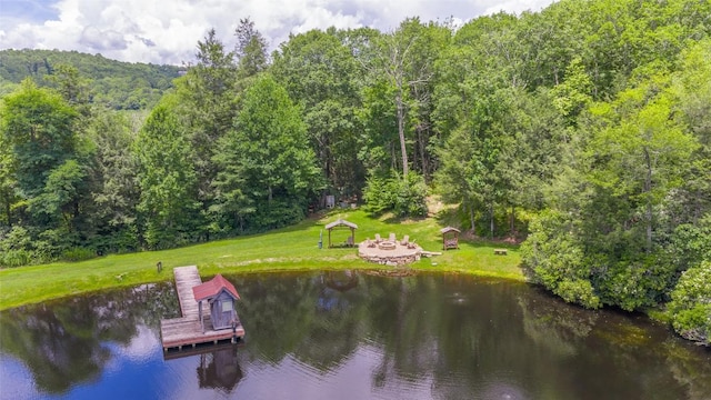 1 Flat Creek Dr, Glenville, NC 28736 - photo 32