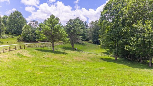 1 Flat Creek Dr, Glenville, NC 28736 - photo 8