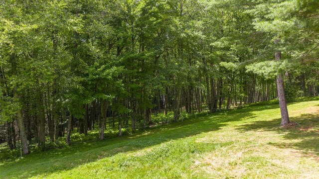 1 Flat Creek Dr, Glenville, NC 28736 - photo 18