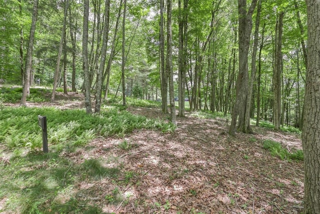 1 Flat Creek Dr, Glenville, NC 28736 - photo 3