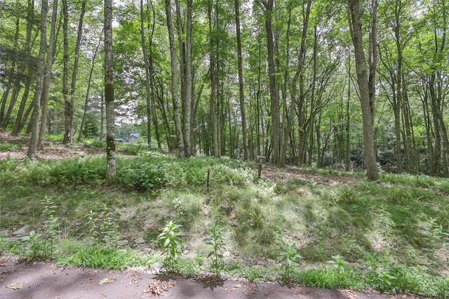 1 Flat Creek Dr, Glenville, NC 28736 - photo 4