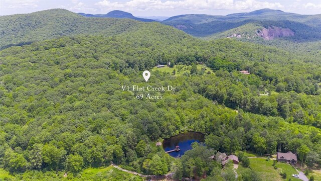 1 Flat Creek Dr, Glenville, NC 28736 - photo 19
