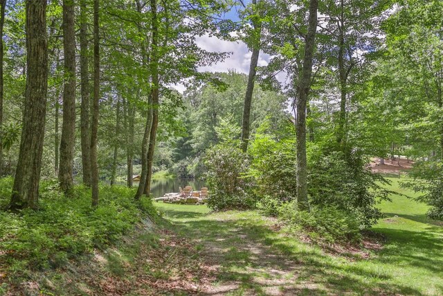 1 Flat Creek Dr, Glenville, NC 28736 - photo 20