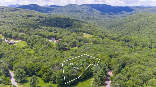 1 Flat Creek Dr, Glenville, NC 28736 - photo 5