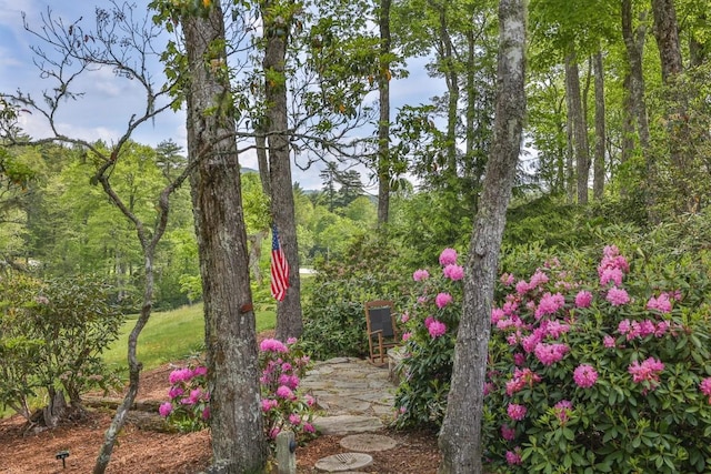 547 Burl Ln, Cashiers, NC 28717 - view of yard