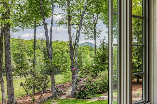 547 Burl Ln, Cashiers, NC 28717 - view of entryway