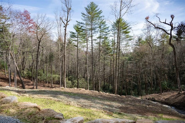 Listing photo 2 for LOT2 Sapphire Ridge Rd, Sapphire NC 28774