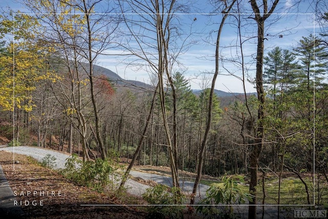 LOT2 Sapphire Ridge Rd, Sapphire NC, 28774 land for sale