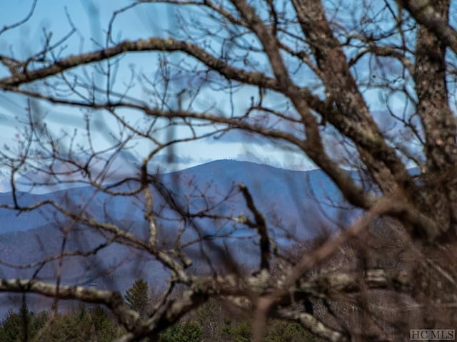 Listing photo 3 for LOT4 Shoal Creek Rd, Scaly Mountain NC 28775