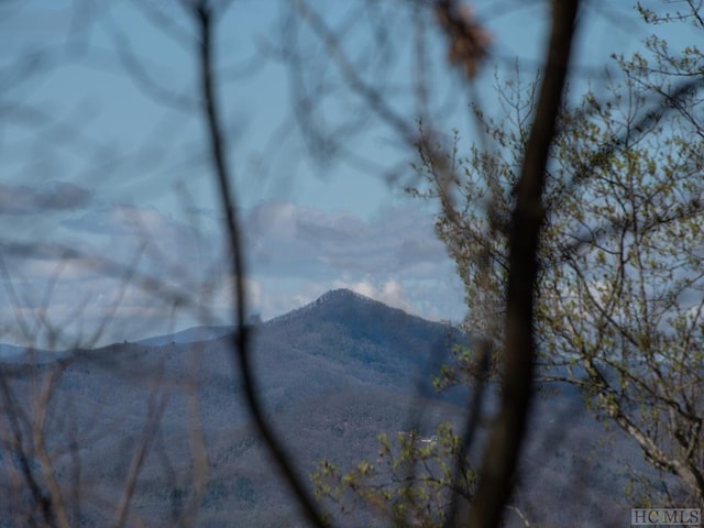 Listing photo 2 for LOT4 Shoal Creek Rd, Scaly Mountain NC 28775