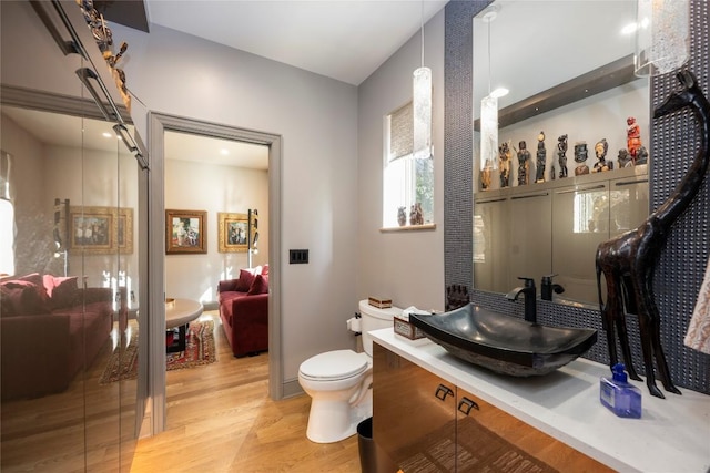 bathroom with toilet, vanity, and wood finished floors