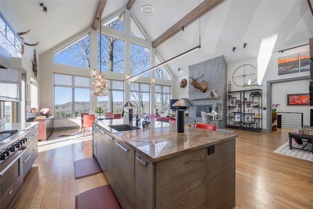 kitchen with an island with sink, light stone countertops, light wood-type flooring, and a sink